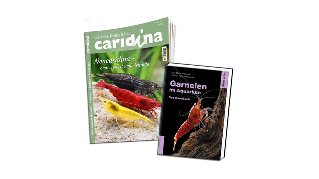 caridina Abo | Caridina Zeitschrift Abo