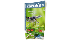 caridina Abo | Caridina Zeitschrift Abo