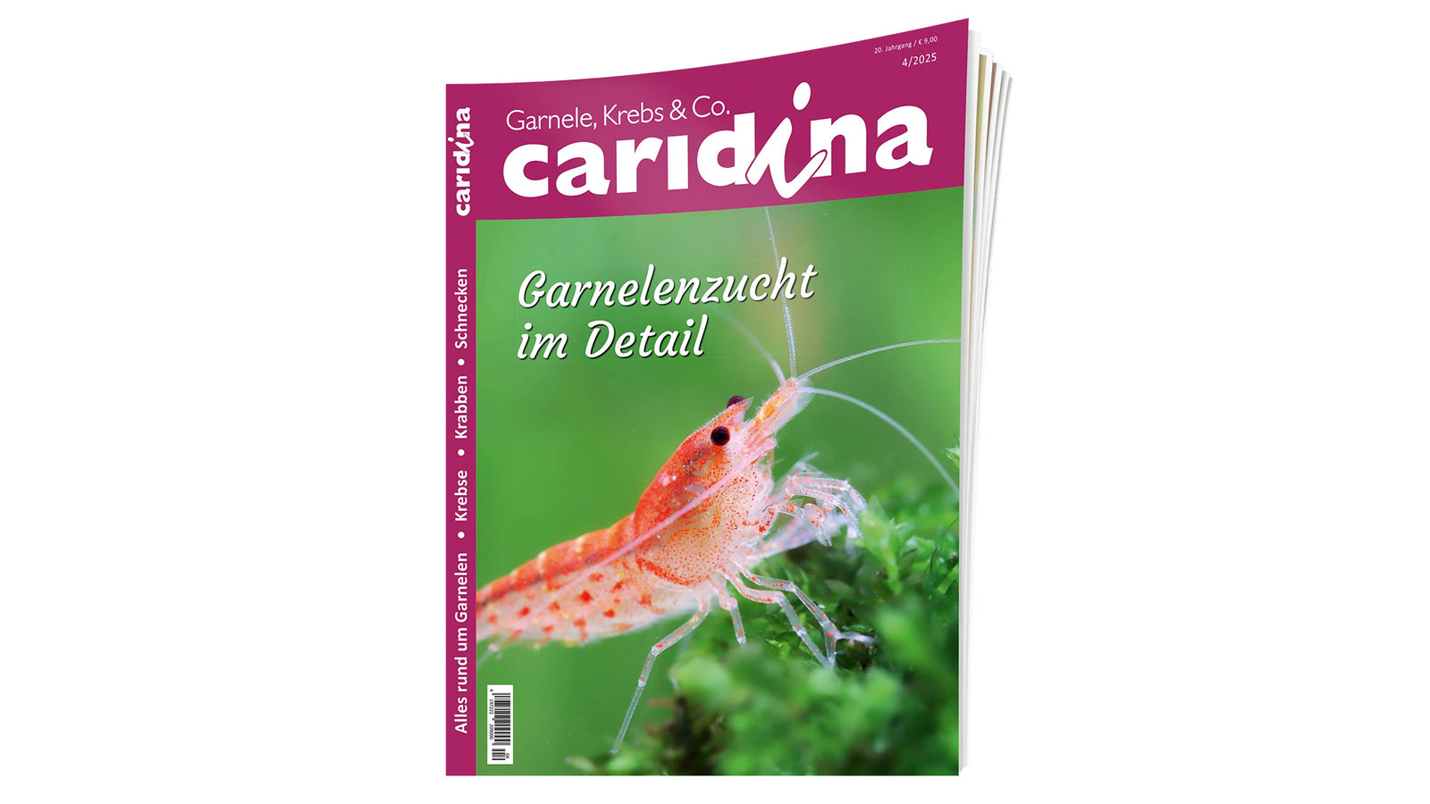 2025/4 caridina | Zeitschrift