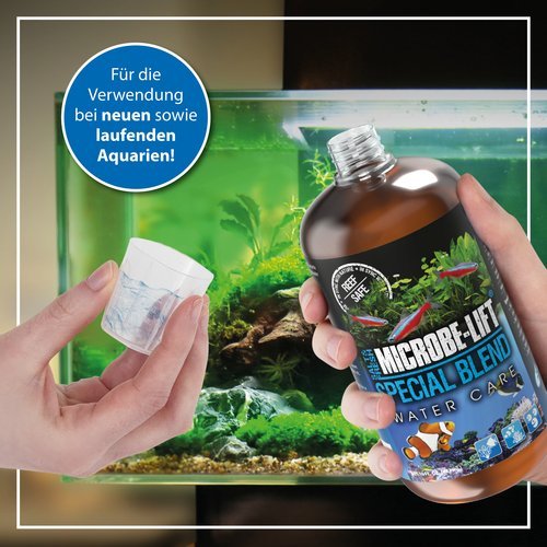 Microbe-Lift Special Blend - Wasserpflege Bakterien