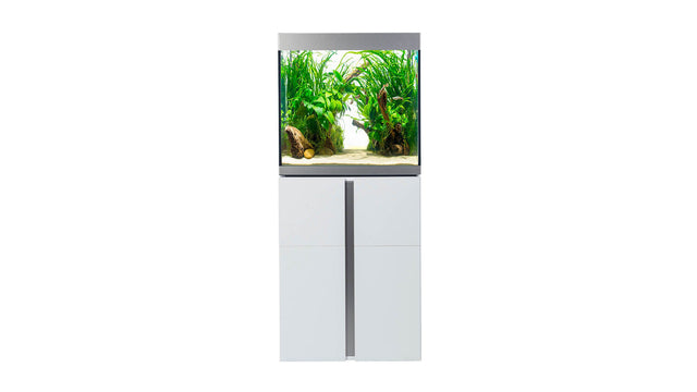 Fluval - Siena Serie Aquarium - GarnelenTv-Shop

Fluval Siena Aquarium mit modernem Design
