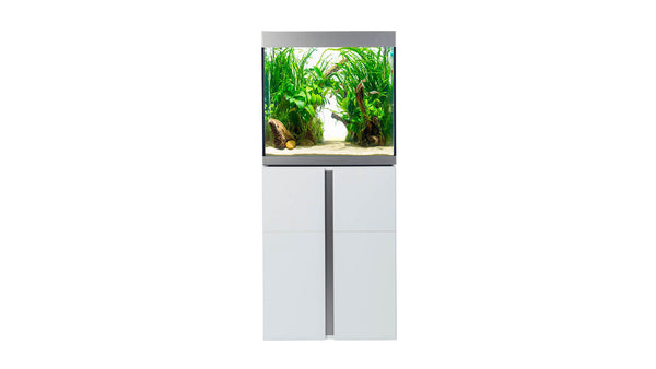 Fluval - Siena Serie Aquarium - GarnelenTv-Shop

Fluval Siena Aquarium mit modernem Design
