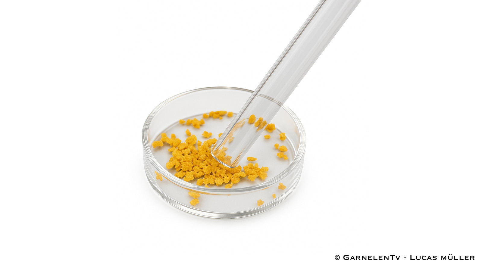 Futterrohr aus Glas 30cm - Durchmesser 12/10mm - GarnelenTv-Shop

Futterrohr aus Glas 30cm für Garnelen und Krebse
