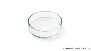 Futterschalen aus Glas | Optimal für Wirbellose / Zwerggarnelen und Krebse - GarnelenTv-Shop