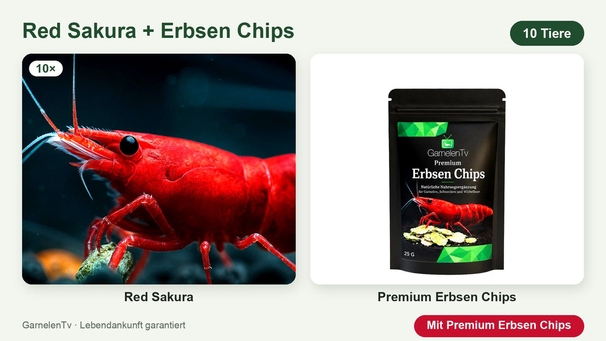 10 Red Sakura Garnelen mit Premium Erbsen Chips