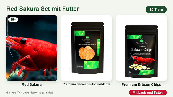15 Red Sakura Garnelen + Premium Seemandelbaumblätter + Premium Erbsen Chips – Neocaridina davidi