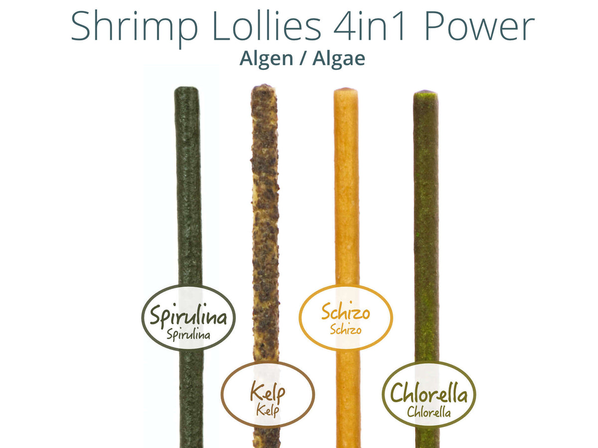 4in1 Power Shrimp Lollies verschiedene Sorten
