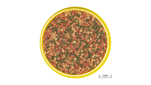Granulatfutter JBL PRONOVO BEL für Zierfische mit Knoblauch