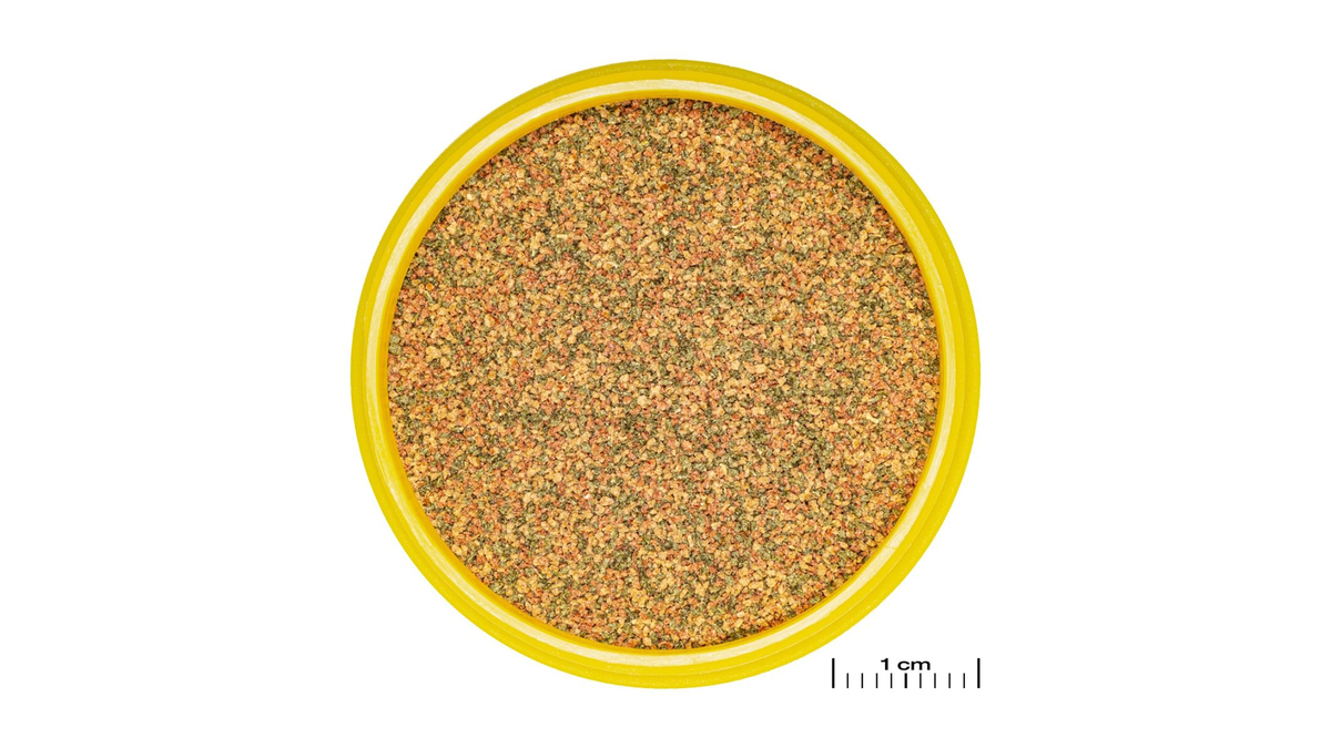 JBL PRONOVO BEL GRANO XXS – Prebiotisches Futter für gesunde Fische