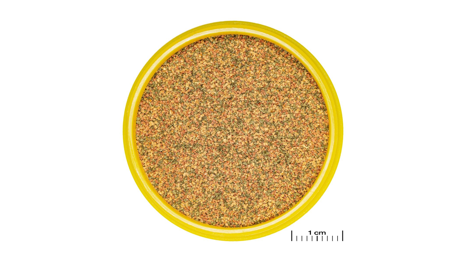 JBL PRONOVO BEL GRANO XXS – Granulat für kleine Zierfische im Aquarium