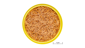 JBL Betta Insect Stick S - Futter für gesunde Kampffische