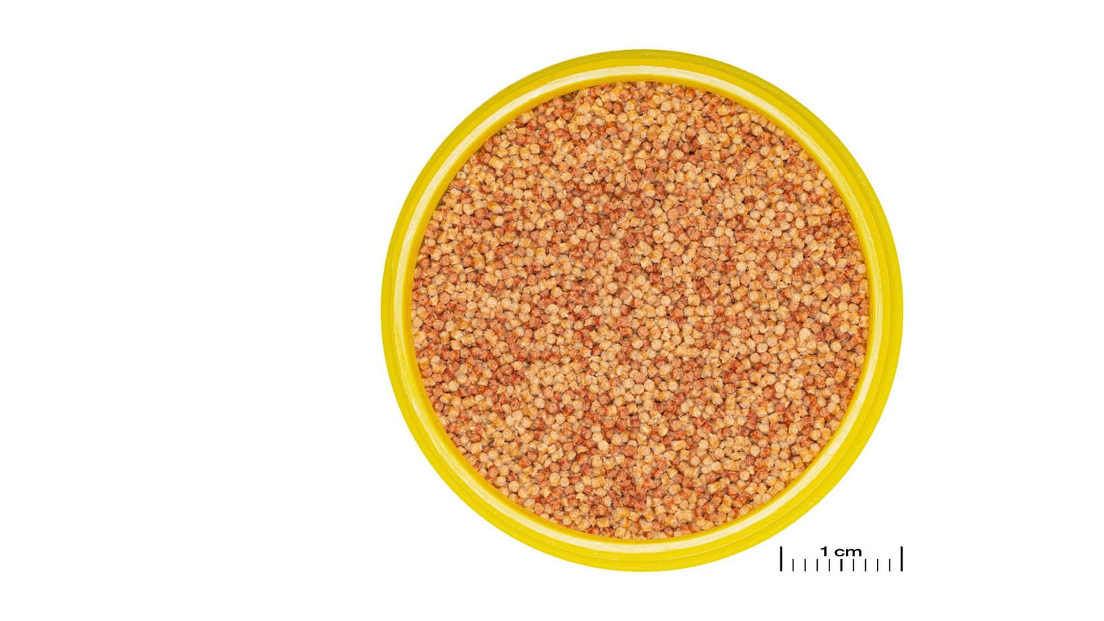 JBL PRONOVO COLOR GRANO – Farbfutter-Granulat für Aquarienfische