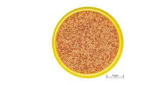 JBL PRONOVO COLOR GRANO – Fördert kräftige Farben und gesunde Verdauung