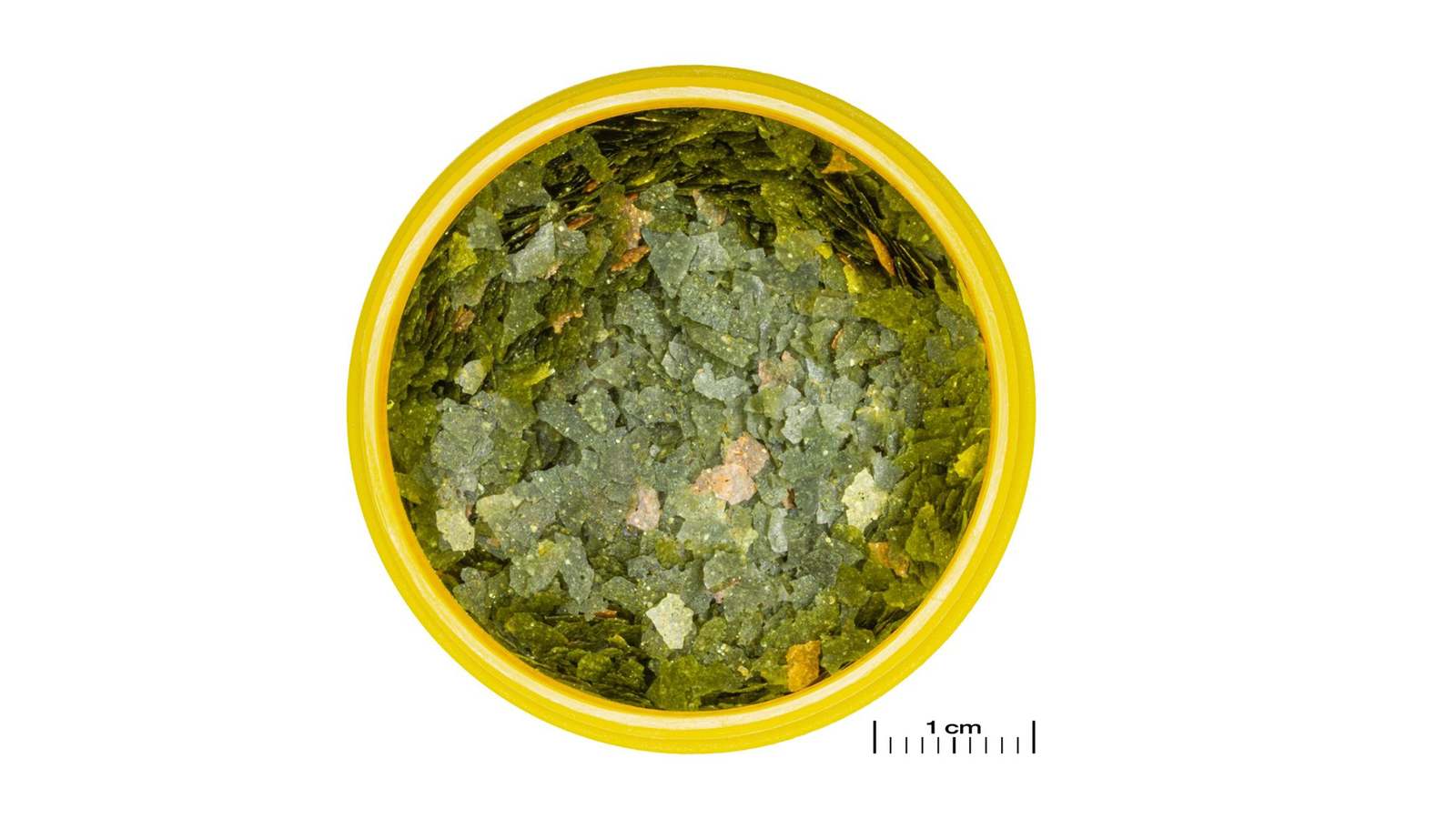 JBL PRONOVO Guppy Flakes S 100ml – Flockenfutter für Aquarienfische.