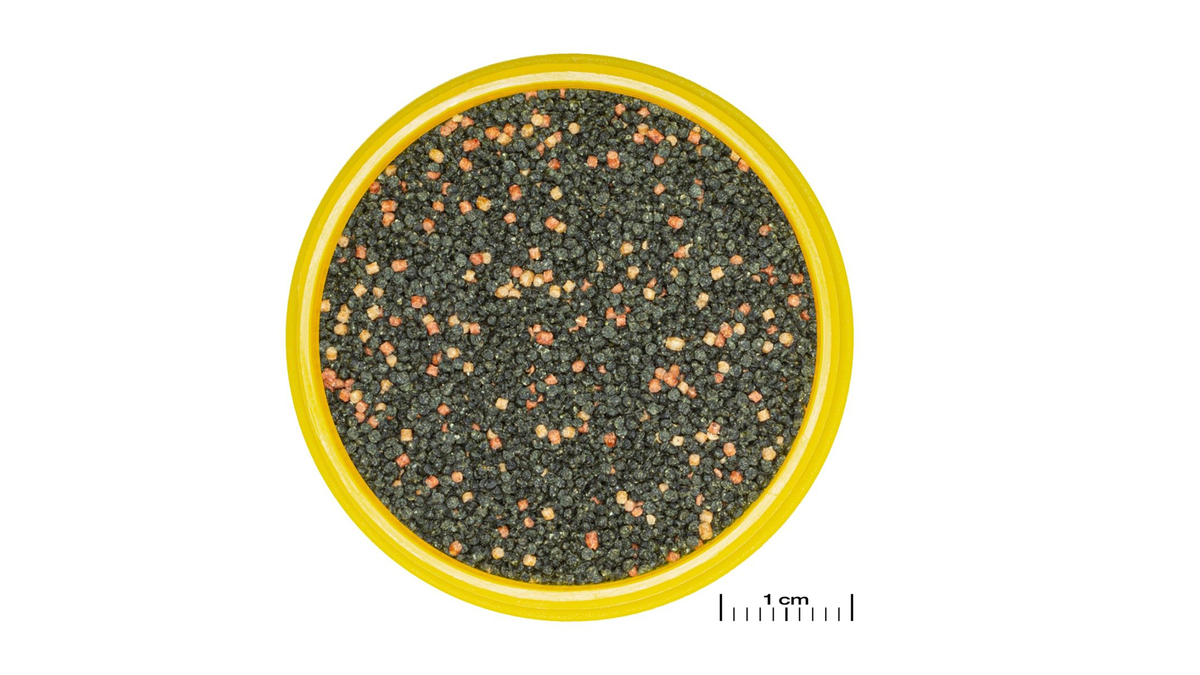 Granulatfutter JBL PRONOVO für Guppys und lebendgebärende Zahnkarpfen.

