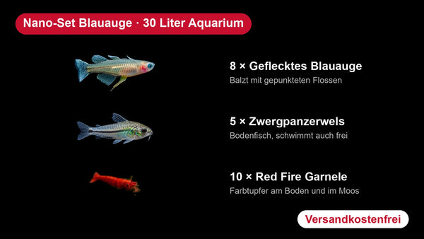 Nano-Set 30 Liter Blauauge - 8 Gefleckte Blauaugen + 5 Zwergpanzerwelse + 10 Red Fire Garnelen
