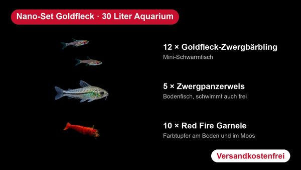 Nano-Set 30 Liter Goldfleck - 12 Goldfleck-Zwergbärblinge + 5 Zwergpanzerwelse + 10 Red Fire Garnelen