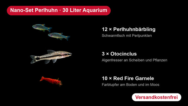 Nano-Set 30 Liter Perlhuhn - 12 Perlhuhnbärblinge + 3 Otocinclus + 10 Red Fire Garnelen