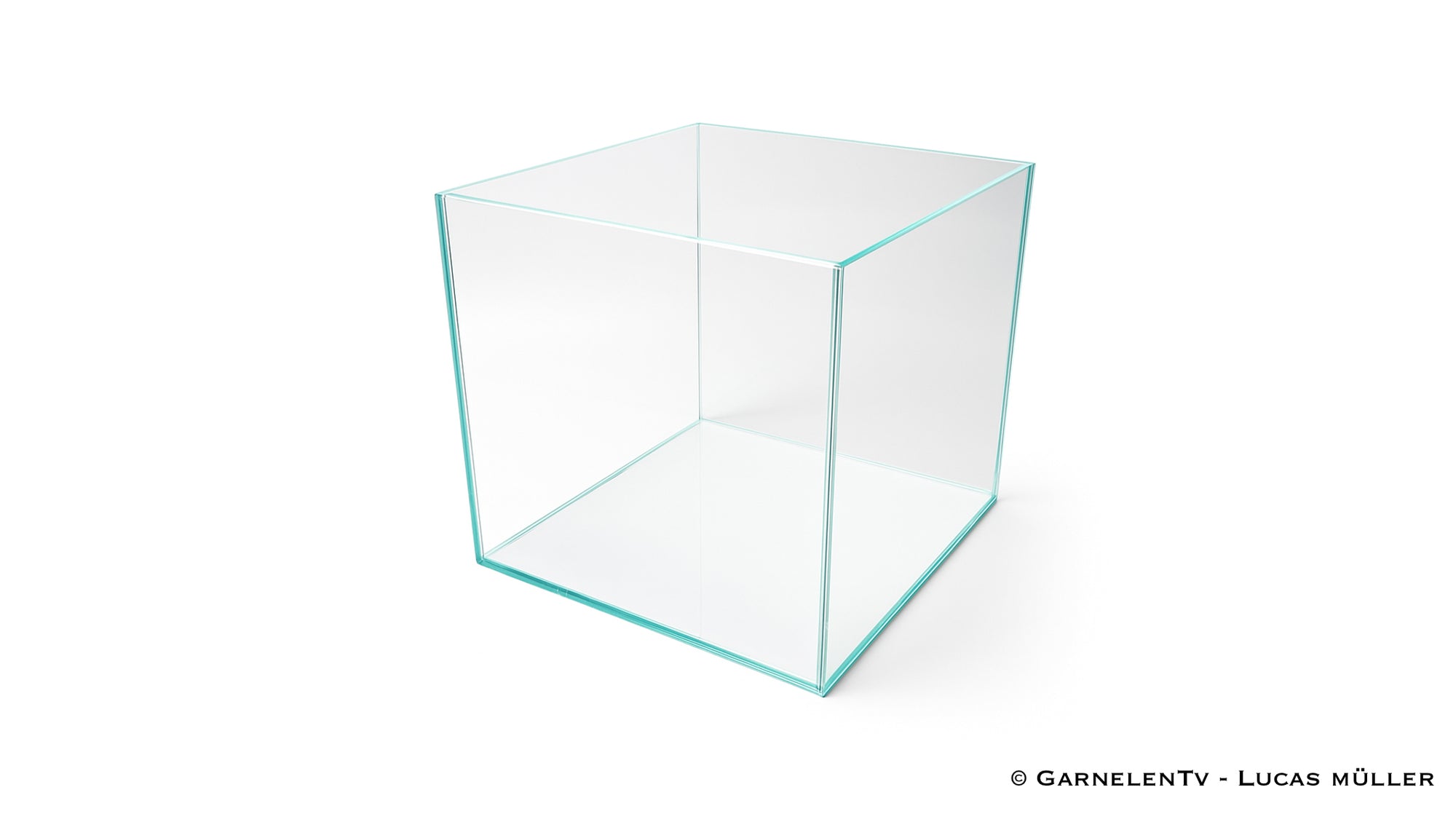OptiWhite-Aquarium 20x20x20cm (LxTxH) 8l - GarnelenTv-Shop
8L Aquarium 20x20x20cm aus Weißglas mit Floatglas-Bodenscheibe
