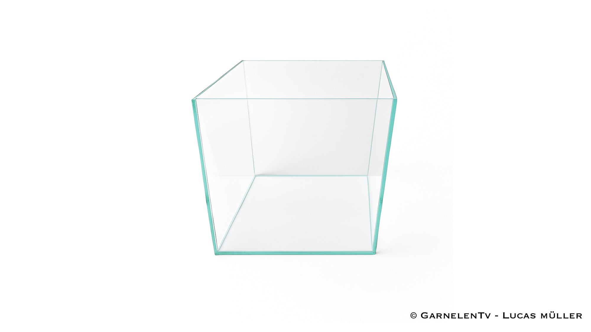 OptiWhite-Aquarium 20x20x20cm (LxTxH) 8l - GarnelenTv-Shop
8L Aquarium 20x20x20cm aus Weißglas mit Floatglas-Bodenscheibe

