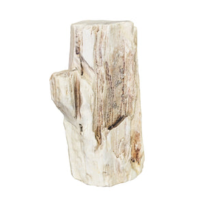 Dekostein versteinertes Holz