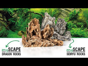Natürliches Seiryu Gestein für Terrarien & Aquascaping