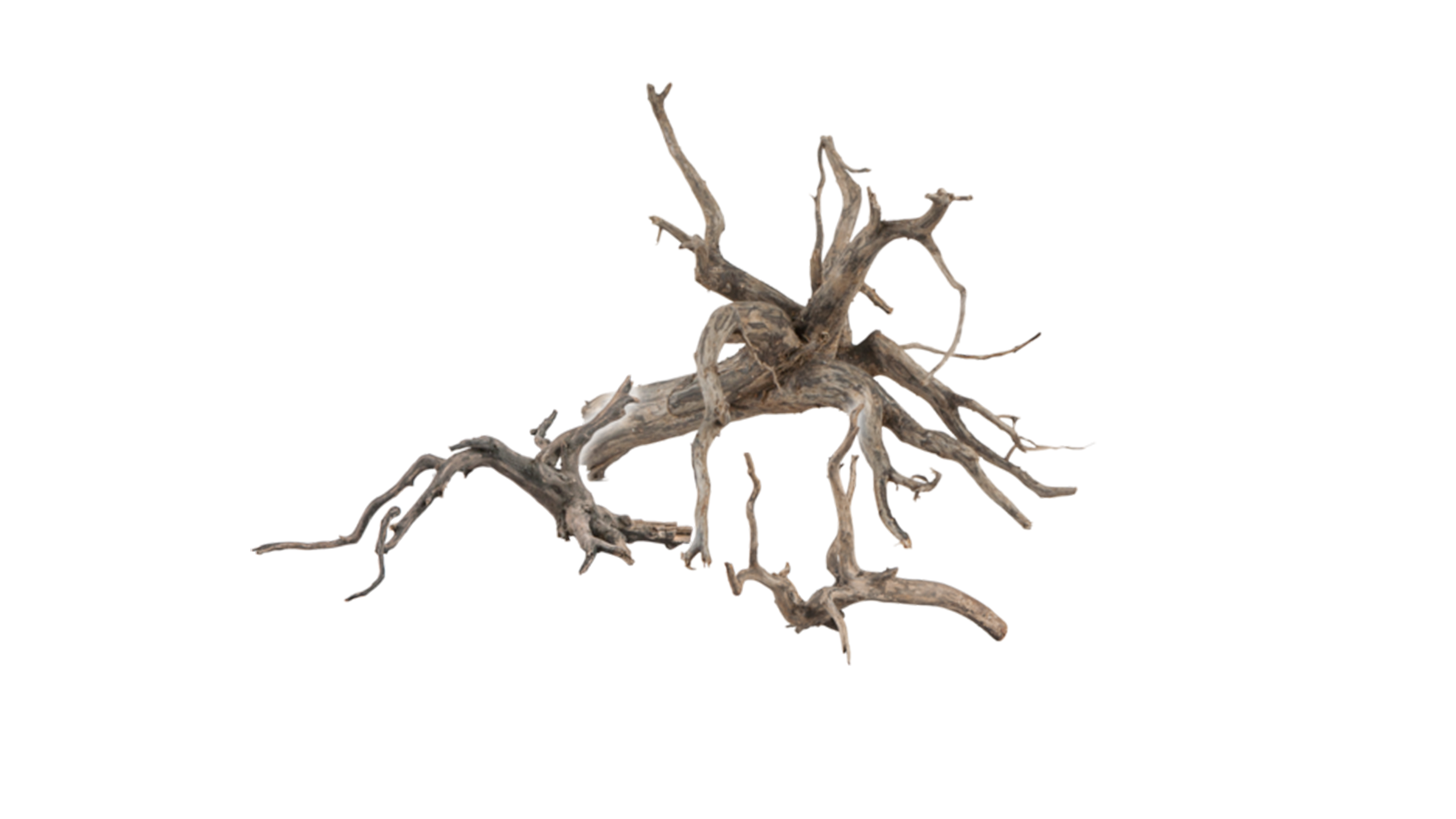 sera Scaper Root