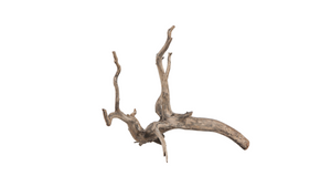 sera Scaper Root