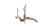 sera Scaper Root