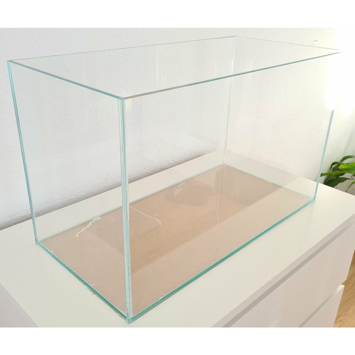 60P Weißglas Aquarium 60x30x36cm (LxTxH) - GarnelenTv-Shop
60P Glas-Aquarium mit transparentem Silikon und präziser Verarbeitung