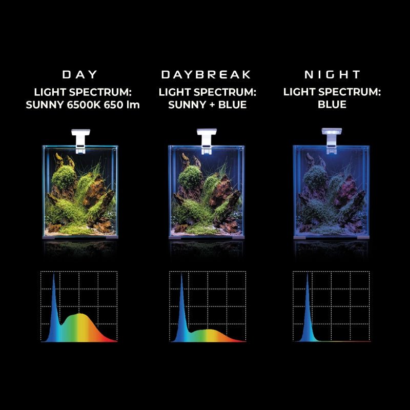 Aquael Leddy Smart Plant Day & Night - GarnelenTv-Shop
Leddy Smart Plant Day & Night with 3 Light Modes
