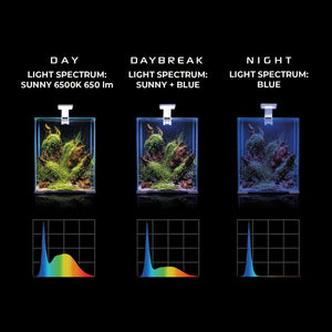 Aquael Leddy Smart Plant Day & Night - GarnelenTv-Shop
Leddy Smart Plant Day & Night with 3 Light Modes
