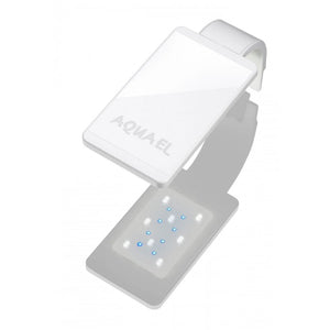 Aquael Leddy Smart Plant Day & Night - GarnelenTv-Shop

Modern Aquarium Lighting with Smart Features
