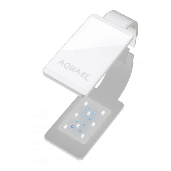 Aquael Leddy Smart Plant Day & Night - GarnelenTv-Shop

Modern Aquarium Lighting with Smart Features
