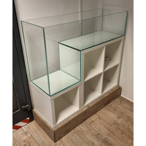 Aquarium mit kreativem Land- und Wasserbereich

