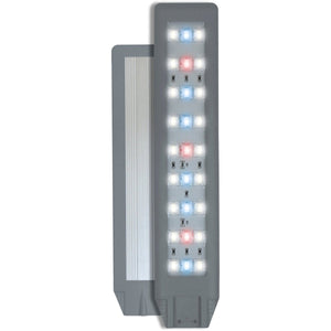 Amtra - Klemmleuchte Vega LED FRESH 10,5W - GarnelenTv-Shop
Vega LED FRESH 10,5W mit Dimmer und Full LED Farben