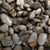 Aqua Della - Aquarienkies british brown 10kg - GarnelenTv-Shop
Aqua Della Aquarienkies British Brown 10kg für Aquarienbodengrund