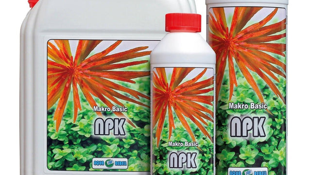 Aqua Rebell Makro Basic NPK - GarnelenTv-Shop

Aqua Rebell Makro Basic NPK – Fertilizer for Healthy Aquarium Plants
