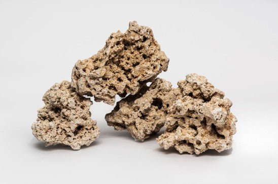 AquaDeco - Reef Rock - GarnelenTv-Shop

AquaDeco Reef Rock für Seewasser-Aquarien – Kalkhaltig

