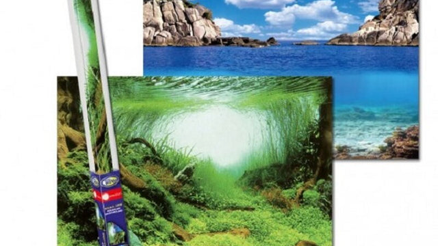 Aquarien-Hintergrund 60x30 cm - Plants/Ocean S - GarnelenTv-Shop
Vorderseite Aquarien-Hintergrund 60x30 cm Plants/Ocean
