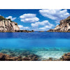 Aquarien-Hintergrund 60x30 cm - Plants/Ocean S - GarnelenTv-Shop