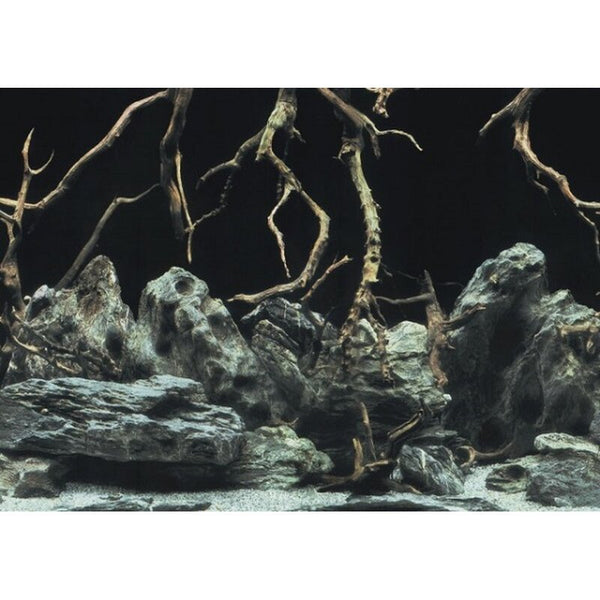 Aquarien-Hintergrund 60x30 cm - Tree Roots/Water S - GarnelenTv-Shop