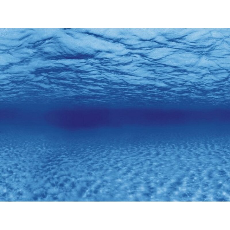 Aquarien-Hintergrund 60x30 cm - Tree Roots/Water S - GarnelenTv-Shop
Dekorativer Aquarien-Hintergrund Tree Roots/Water Design
