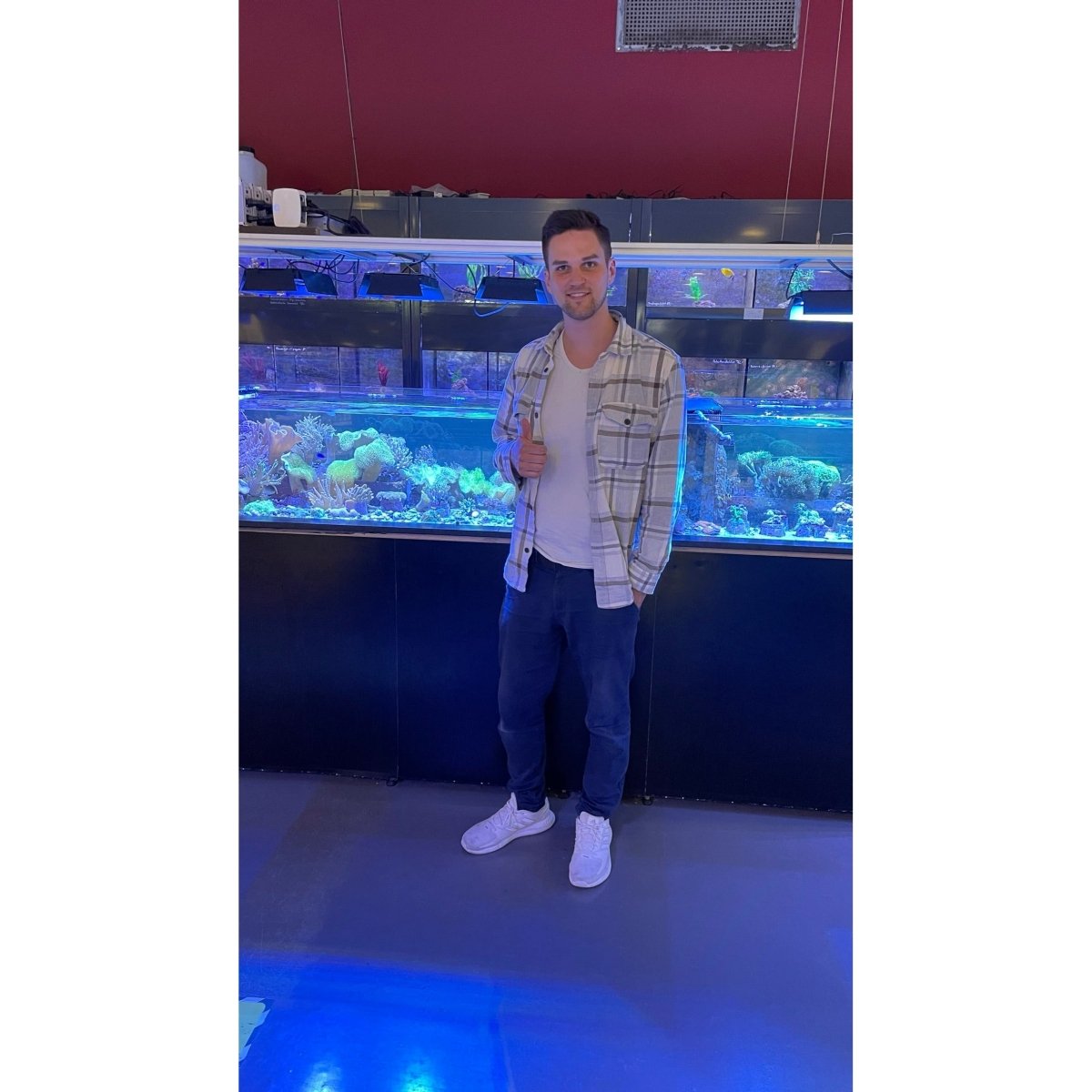 Aquarienpflege - GarnelenTv-Shop

Aquarienpflege Wasserwechsel und Rückschnitt
