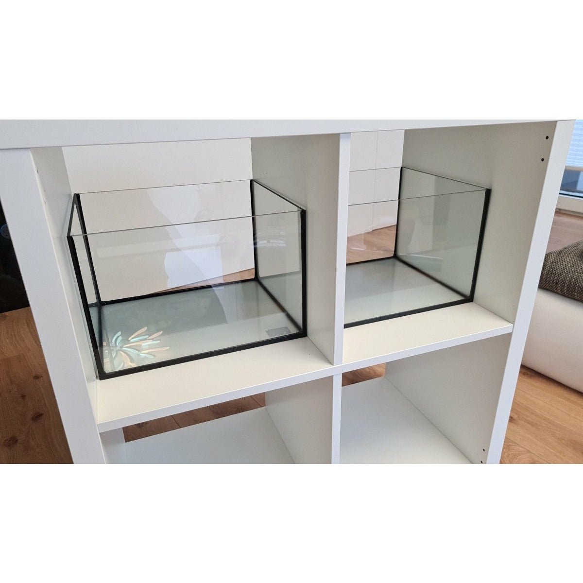 Aquarium 33x28x22cm (LxTxH) 20l für KALLAX-Regal - GarnelenTv-Shop
Aquarium für KALLAX-Regal mit HangOn-Filter und hellem Silikon
