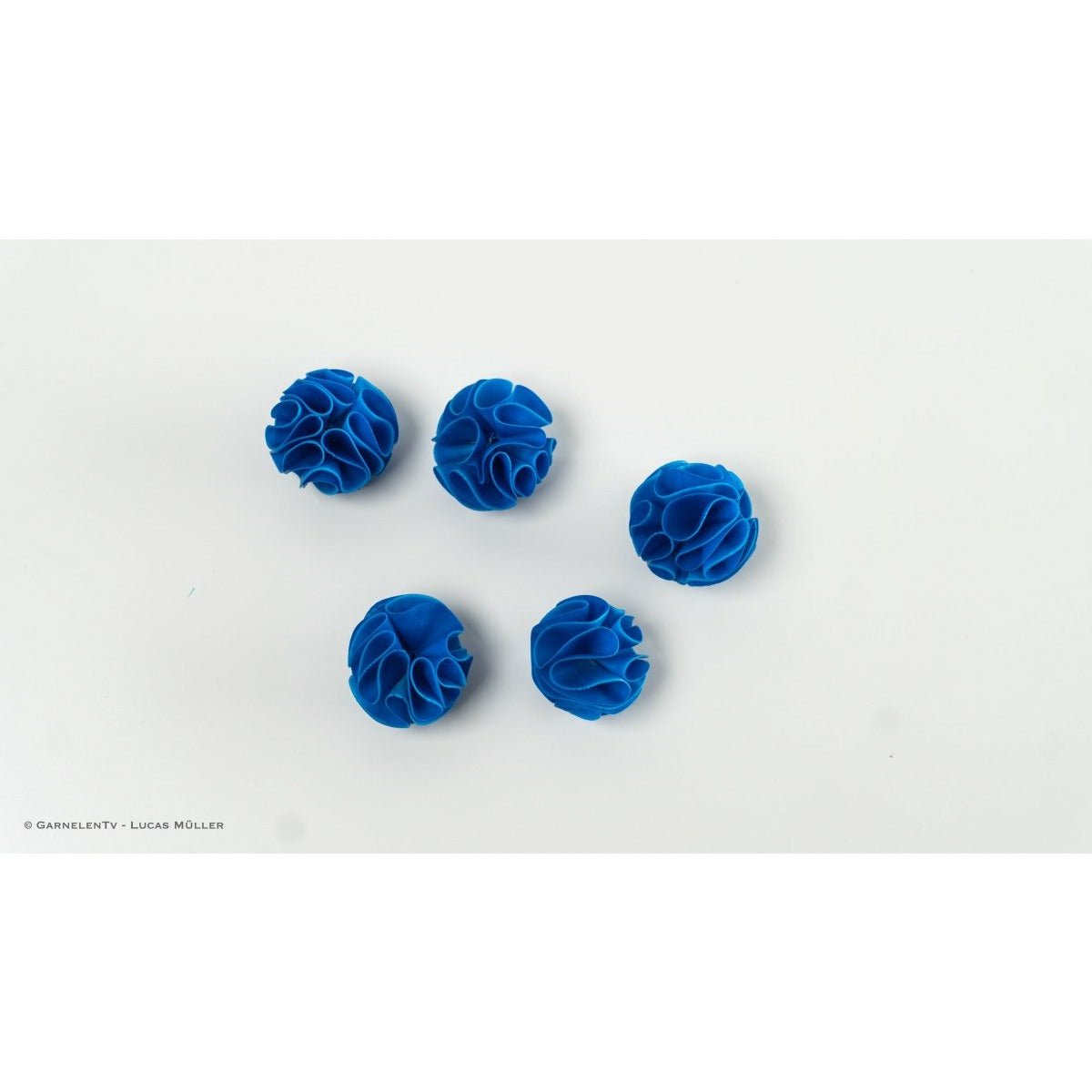 Baby Shrimp Shelter, 5er-Set Blau - GarnelenTv-Shop

Baby Shrimp Shelter 5er-Set Blau für Babygarnelen

