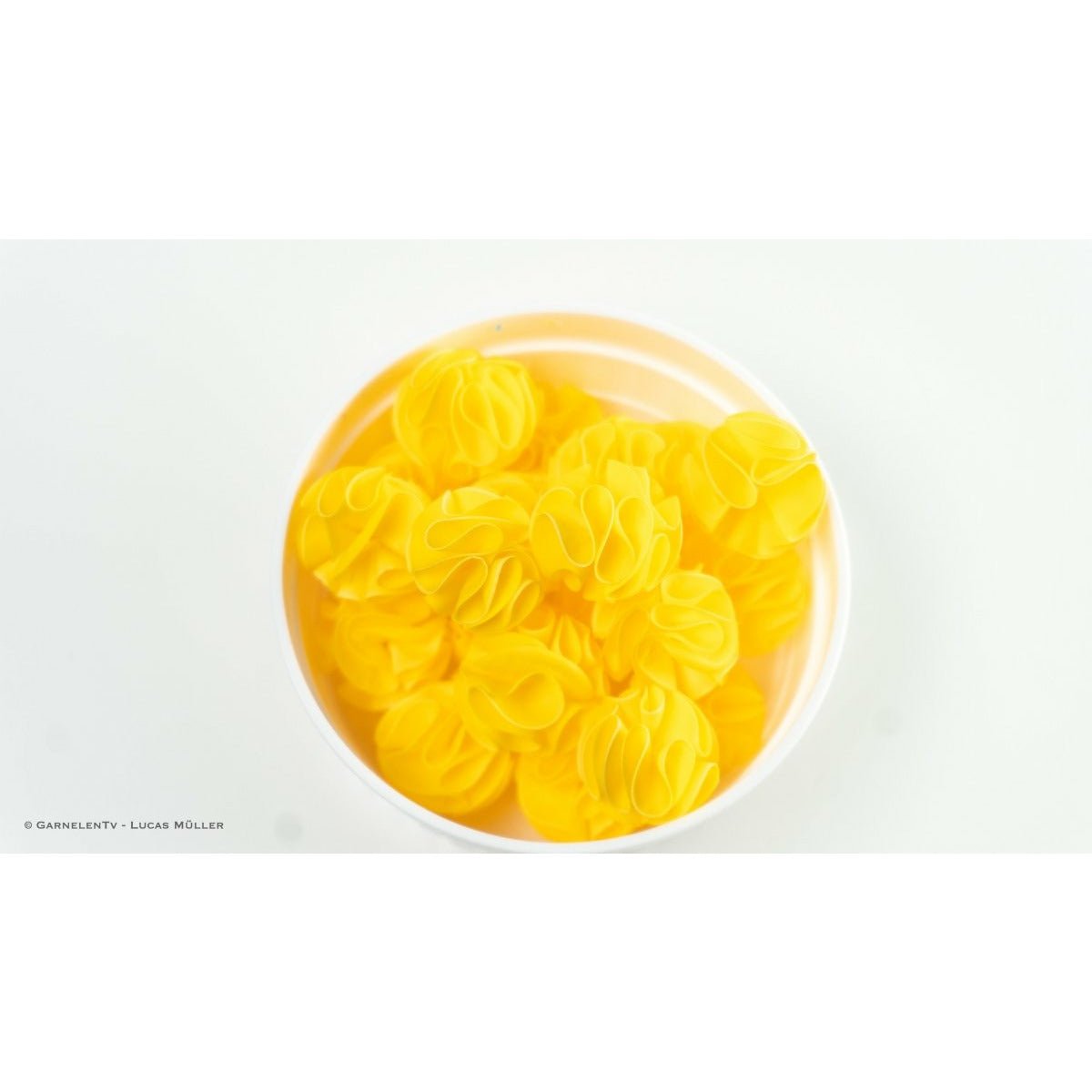 Baby Shrimp Shelter, 5er-Set Gelb - GarnelenTv-Shop

Baby Shrimp Shelter 5er-Set Gelb für Babygarnelen