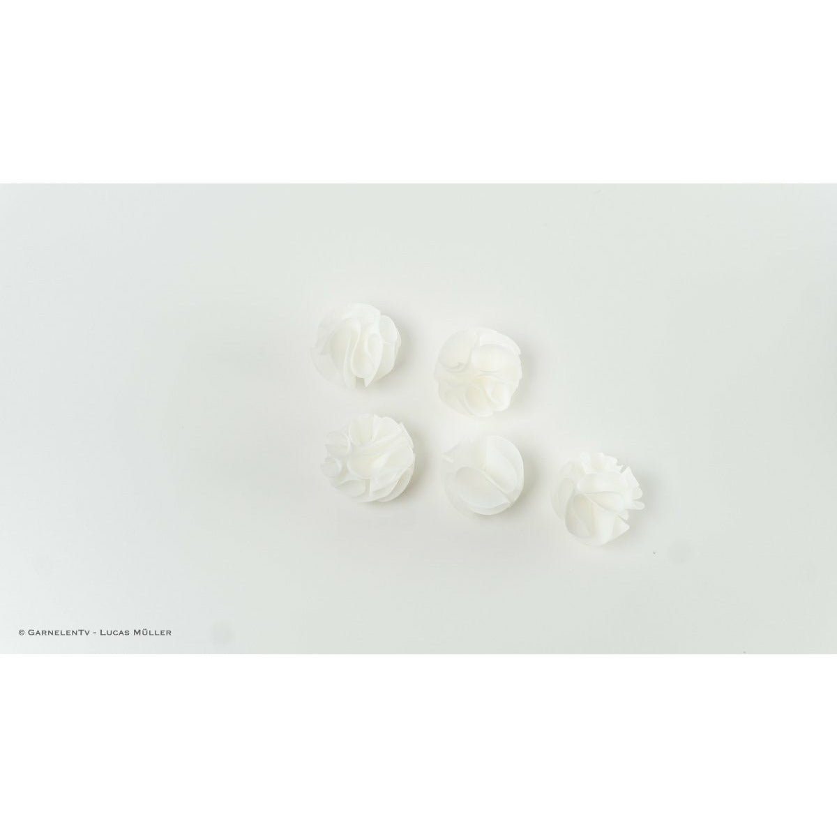 Baby Shrimp Shelter, 5er-Set Weiß - GarnelenTv-Shop

Japanisches Baby Shrimp Shelter im Aquarium