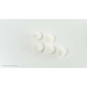 Baby Shrimp Shelter, 5er-Set Weiß - GarnelenTv-Shop

Japanisches Baby Shrimp Shelter im Aquarium