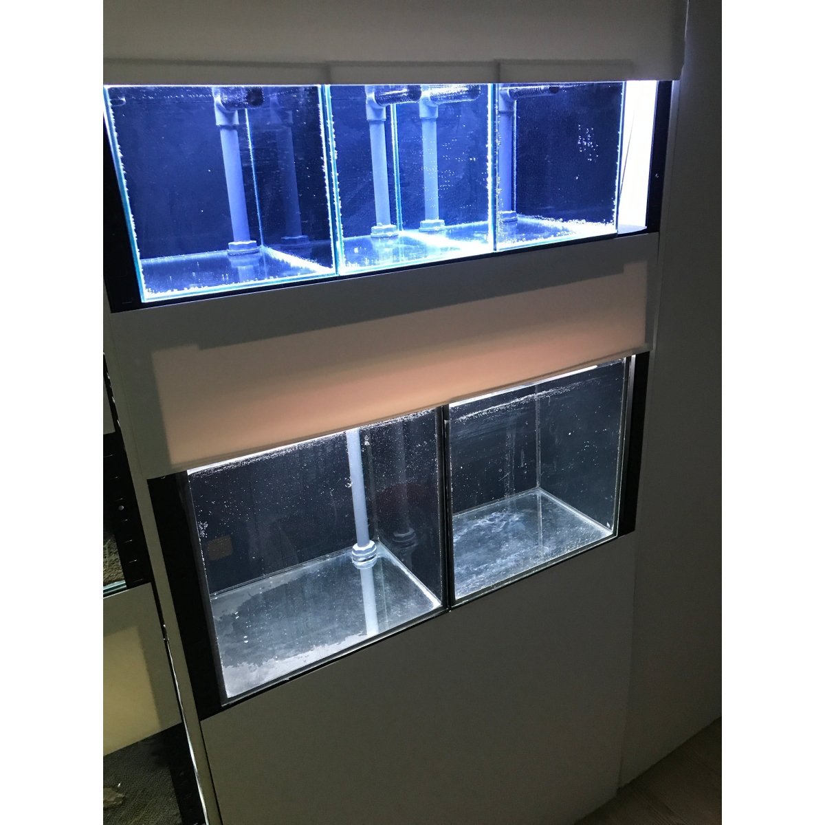 Beratung für Aquarium-Besatz und Hardscape-Materialien


